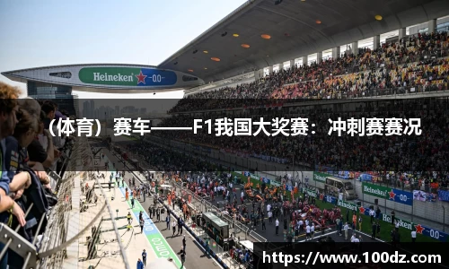 （体育）赛车——F1我国大奖赛：冲刺赛赛况